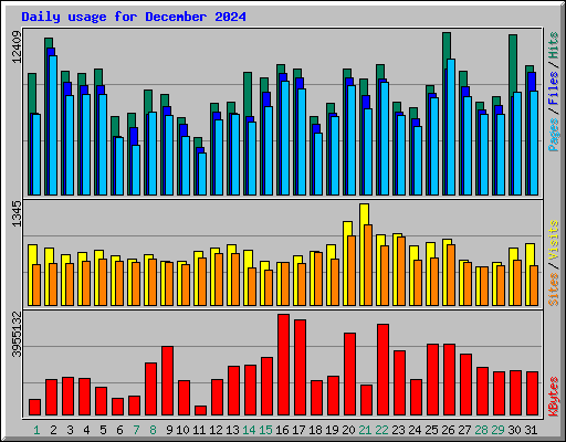 Daily usage for December 2024