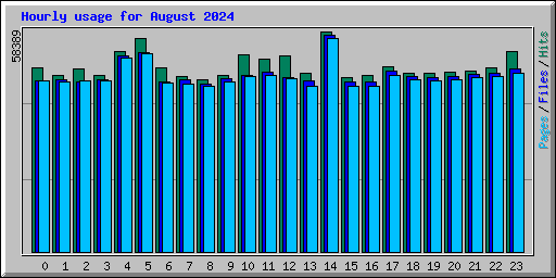 Hourly usage for August 2024