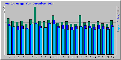 Hourly usage for December 2024