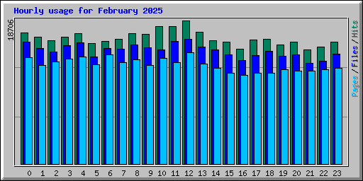 Hourly usage for February 2025