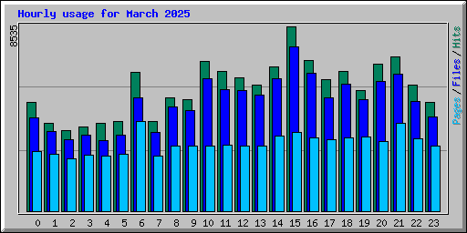 Hourly usage for March 2025