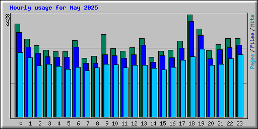 Hourly usage for May 2025