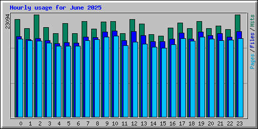Hourly usage for June 2025