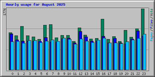 Hourly usage for August 2025