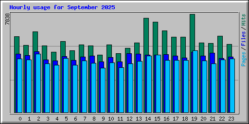 Hourly usage for September 2025