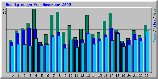 Hourly usage for November 2025