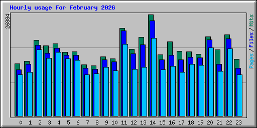 Hourly usage for February 2026