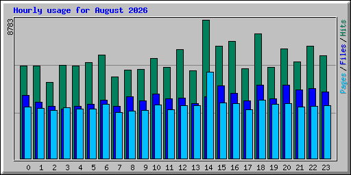 Hourly usage for August 2026